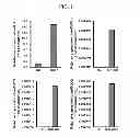 Fig. 02 - Modulation of radiation response using microrna