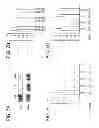 Fig. 12 - Sequence-specific inhibition of small RNA function