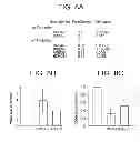 Fig. 13 - Sequence-specific inhibition of small RNA function