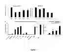 Fig. 08 - MODULATION OF MICRORNA-138 FOR THE TREATMENT OF BONE LOSS