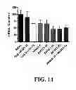 Fig. 15 - Methods for treating hypercholesterolemia