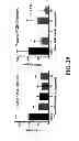 Fig. 30 - Methods for treating hypercholesterolemia