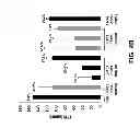 Fig. 06 - Compositions and methods for inhibiting expression of transthyretin