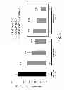 Fig. 07 - Compositions and methods for inhibiting expression of transthyretin