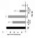 Fig. 08 - Compositions and methods for inhibiting expression of transthyretin