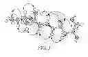 Fig. 04 - Cytotoxin compounds and methods of isolation