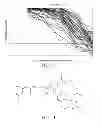 Fig. 13 - Cytotoxin compounds and methods of isolation