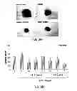 Fig. 08 - METHODS AND COMPOSITIONS FOR INHIBITING INTEGRINS USING TELLURIUM-CONTAINING COMPOUNDS