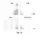 Fig. 17 - METHODS AND COMPOSITIONS FOR INHIBITING INTEGRINS USING TELLURIUM-CONTAINING COMPOUNDS