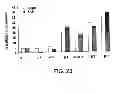 Fig. 26 - METHODS AND COMPOSITIONS FOR INHIBITING INTEGRINS USING TELLURIUM-CONTAINING COMPOUNDS