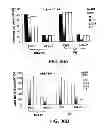 Fig. 40 - METHODS AND COMPOSITIONS FOR INHIBITING INTEGRINS USING TELLURIUM-CONTAINING COMPOUNDS