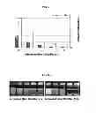 Fig. 03 - FERMENTED VEGETABLE OIL AND COMPOSITION INCLUDING SAME