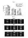 Fig. 04 - FERMENTED VEGETABLE OIL AND COMPOSITION INCLUDING SAME