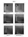 Fig. 13 - FERMENTED VEGETABLE OIL AND COMPOSITION INCLUDING SAME