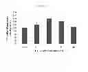 Fig. 05 - HYDROXYTYROSOL BENEFITS MITOCHONDRIA