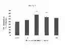 Fig. 08 - HYDROXYTYROSOL BENEFITS MITOCHONDRIA