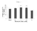 Fig. 11 - HYDROXYTYROSOL BENEFITS MITOCHONDRIA