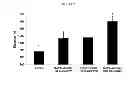 Fig. 15 - HYDROXYTYROSOL BENEFITS MITOCHONDRIA