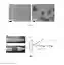 Fig. 02 - Biocompatible and biodegradable elastomer