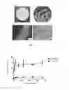 Fig. 19 - Biocompatible and biodegradable elastomer