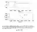 Fig. 04 - CHROMATOGRAPHIC MEDIA