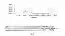 Fig. 05 - CHROMATOGRAPHIC MEDIA