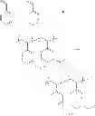 Fig. 24 - Polymer, surface hydrophilizing agent containing said polymer, and manufacturing method for substrate having hydrophilic surface