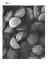 Fig. 06 - Non-spherical resin particles, manufacturing method thereof, and use thereof