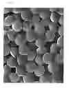 Fig. 10 - Non-spherical resin particles, manufacturing method thereof, and use thereof