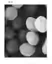 Fig. 16 - Non-spherical resin particles, manufacturing method thereof, and use thereof