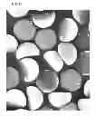 Fig. 18 - Non-spherical resin particles, manufacturing method thereof, and use thereof