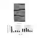 Fig. 06 - PHA compositions comprising PBS and PBSA and methods for their production