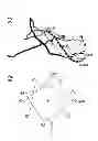 Fig. 03 - Synthetic peptides and peptide mimetics