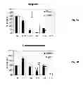 Fig. 06 - Synthetic peptides and peptide mimetics
