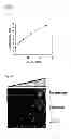 Fig. 09 - Synthetic peptides and peptide mimetics