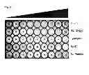 Fig. 10 - Synthetic peptides and peptide mimetics