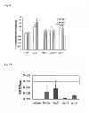 Fig. 13 - Synthetic peptides and peptide mimetics