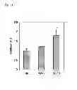 Fig. 16 - Synthetic peptides and peptide mimetics