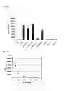Fig. 18 - Synthetic peptides and peptide mimetics