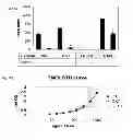 Fig. 20 - Synthetic peptides and peptide mimetics