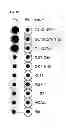 Fig. 25 - Synthetic peptides and peptide mimetics