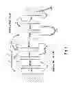 Fig. 02 - Method and composition for crystallizing G protein-coupled receptors
