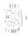 Fig. 07 - Method and composition for crystallizing G protein-coupled receptors