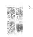Fig. 08 - Method and composition for crystallizing G protein-coupled receptors