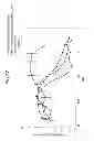 Fig. 46 - Modified chimeric polypeptides with improved pharmacokinetic properties