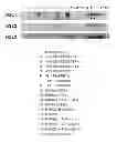 Fig. 25 - Polynucleotides encoding BSL2v2c2