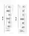 Fig. 37 - Polynucleotides encoding BSL2v2c2