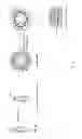 Fig. 02 - Metamaterial optical elements self-assembled on protein scaffolds