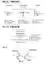 Fig. 02 - Process for the synthesis of ketones from internal alkenes