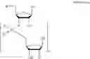 Fig. 12 - Methods for the synthesis of functionalized nucleic acids